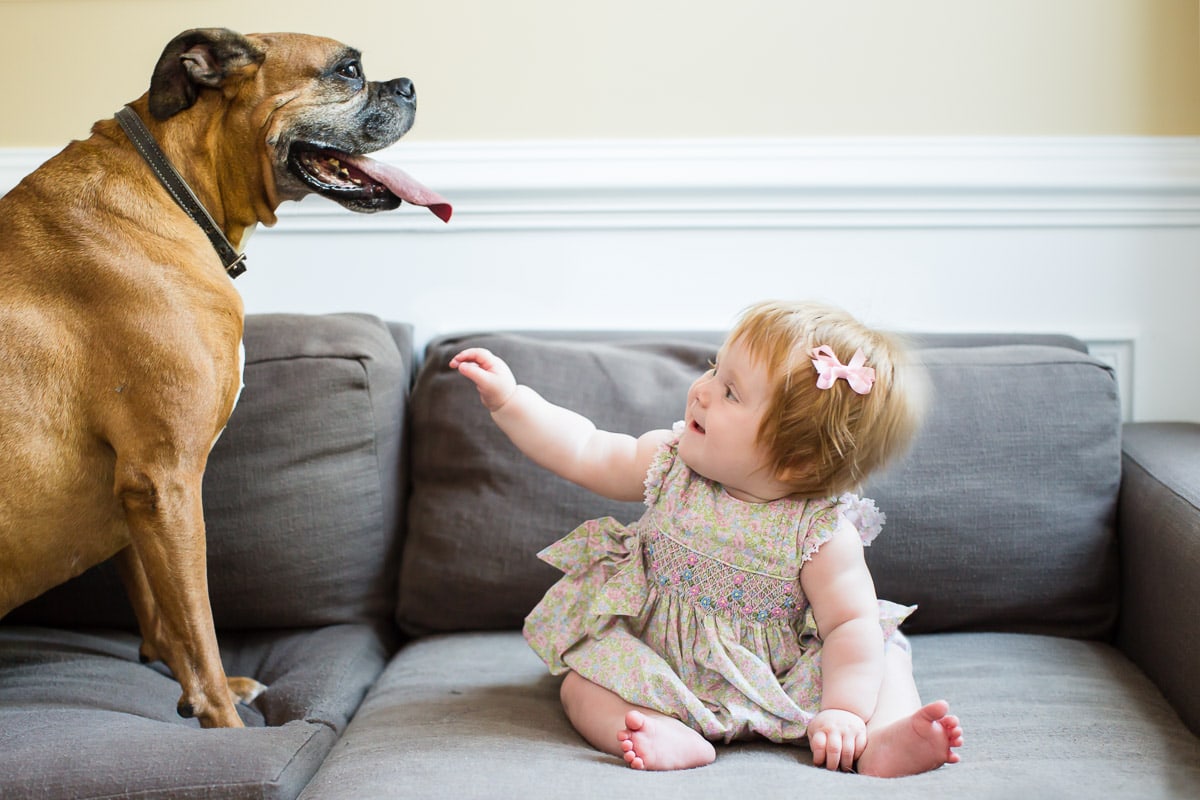 When choosing a family photographer in Washington DC, ask about including your dog or other pets.
